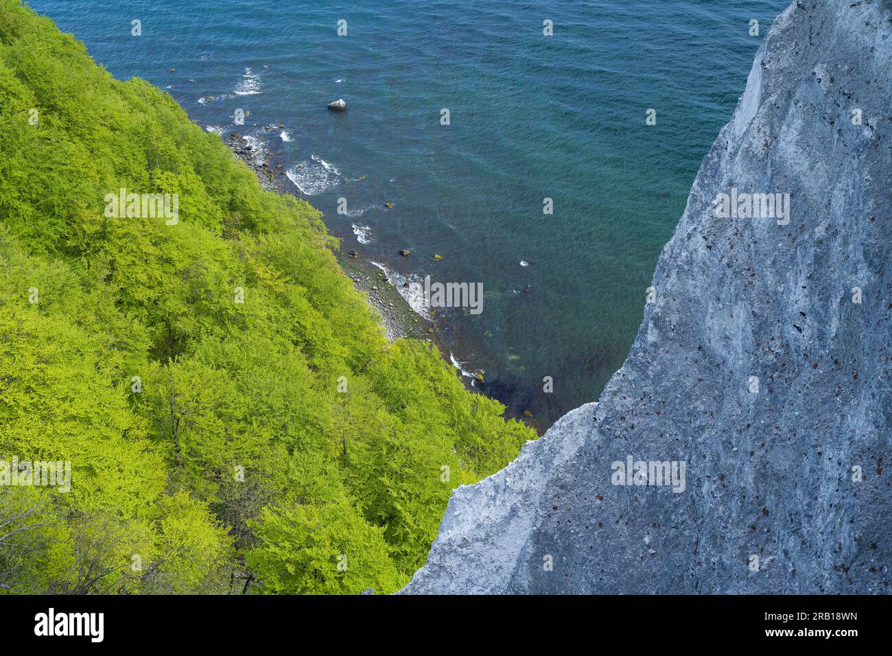 Kreidefelsen am Königsstuhl, Kupferbuchenwald im Frühlingsgrün, Meerblick, Jasmund-Nationalpark, Insel Rügen, Deutschland, Mecklenburg-Vorpommern Stockfoto