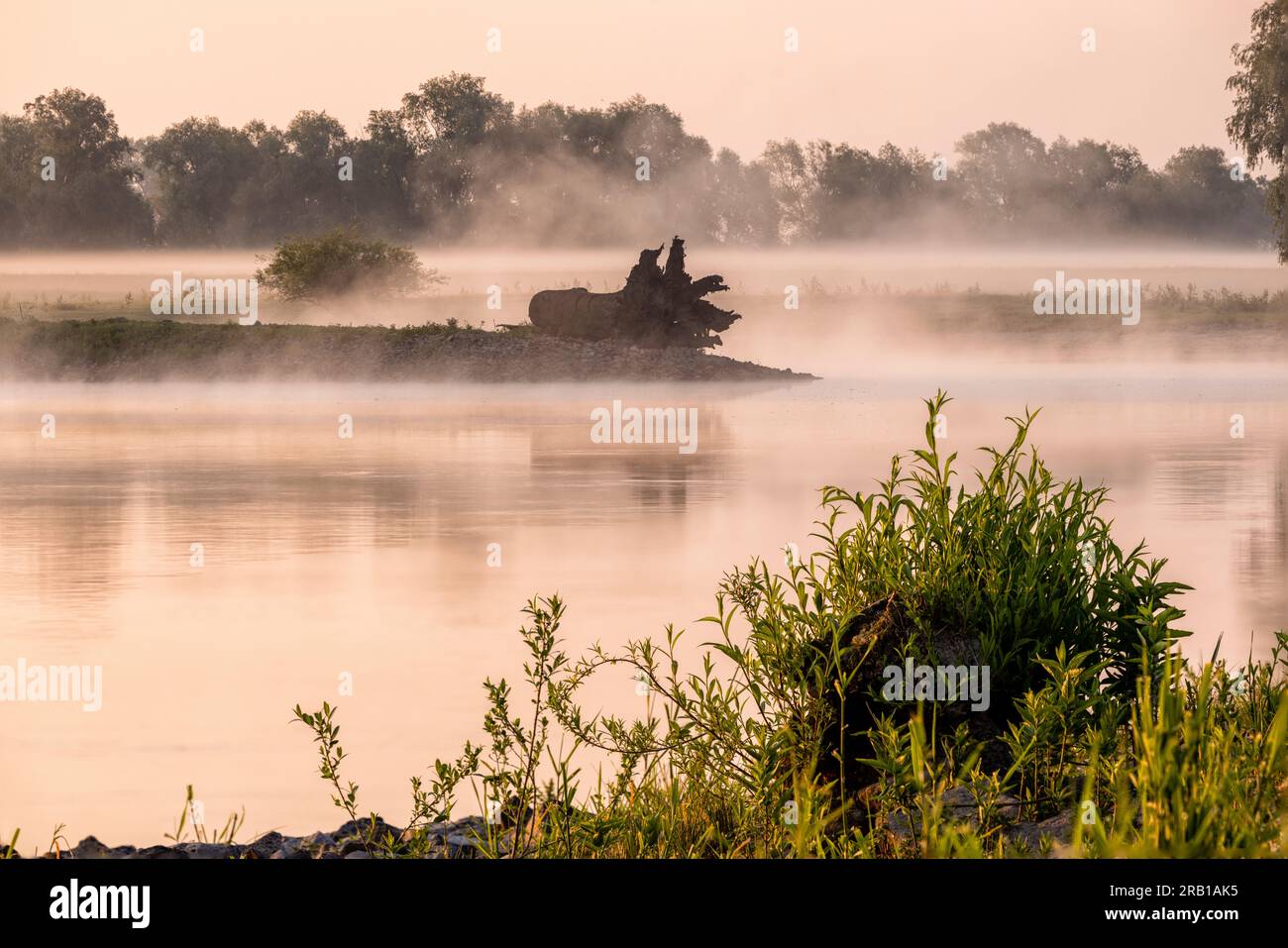 Blick auf die Elbe in der Nähe von Bleckede/Radegast vor Sonnenaufgang mit Morgenrot und Reflexionen auf dem Wasser Stockfoto