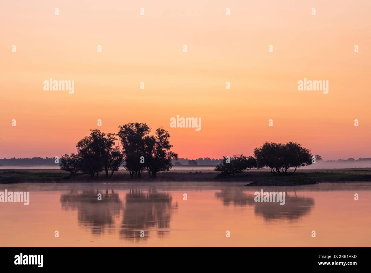 Blick auf die Elbe in der Nähe von Bleckede/Radegast vor Sonnenaufgang mit Morgenrot und Reflexionen auf dem Wasser Stockfoto