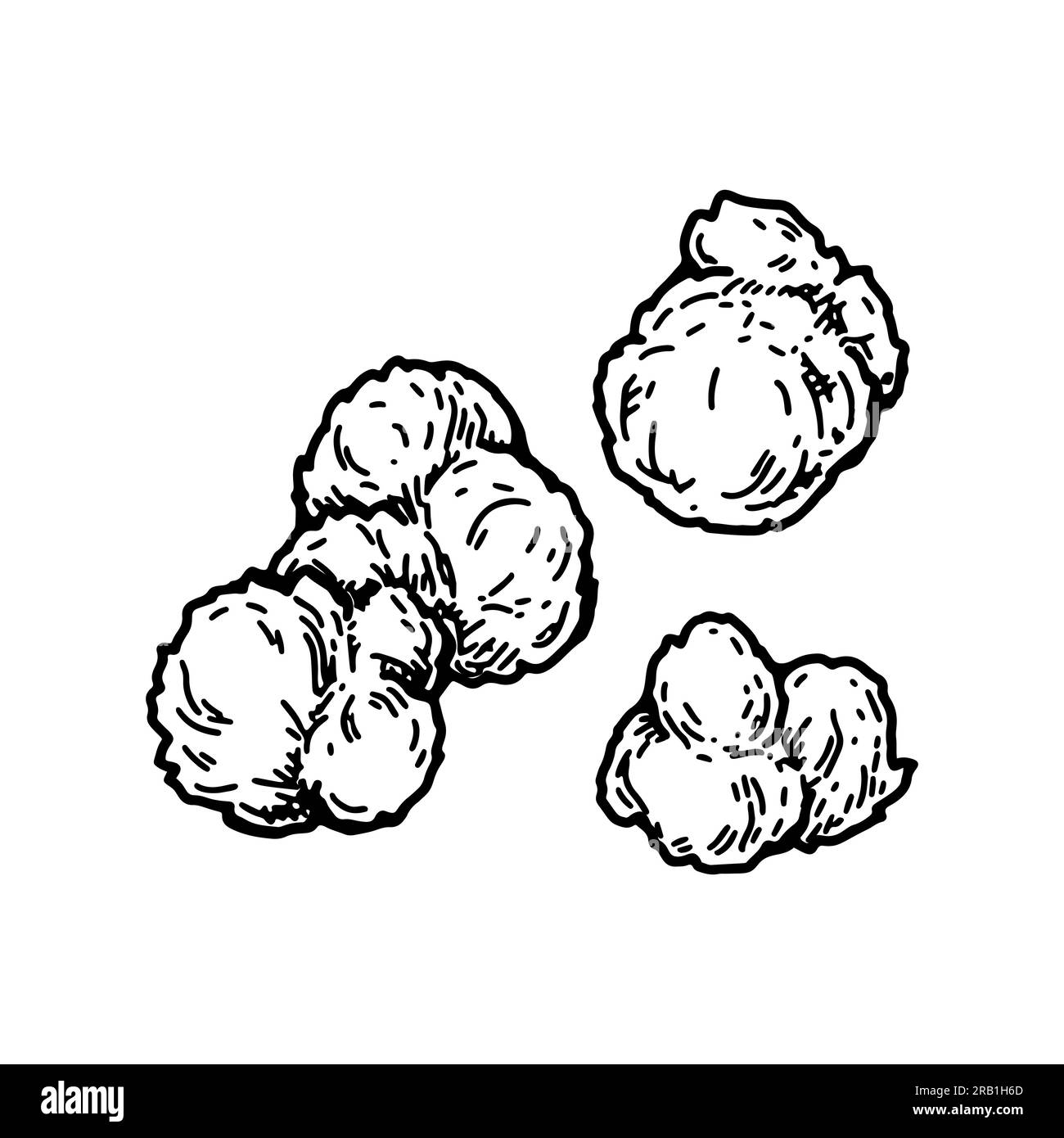 Cannabisknospen. Vektordarstellung im Skizzenstil. Marihuana-Pflanzenblume Stock Vektor