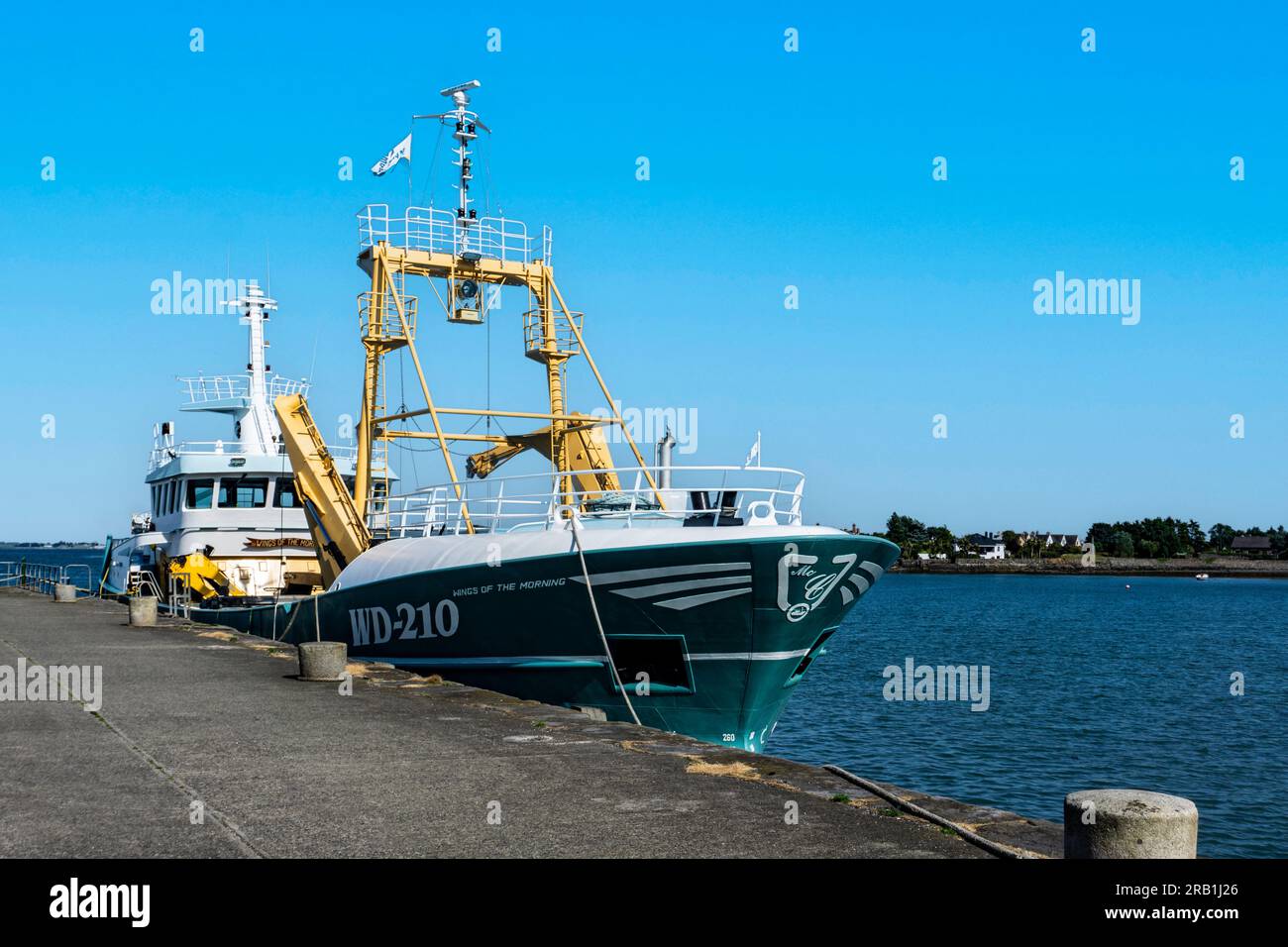 Das Fischerboot, Wings of the Morning, liegt in Carlingford Lough, Carlingord, County Louth, Irland. Stockfoto
