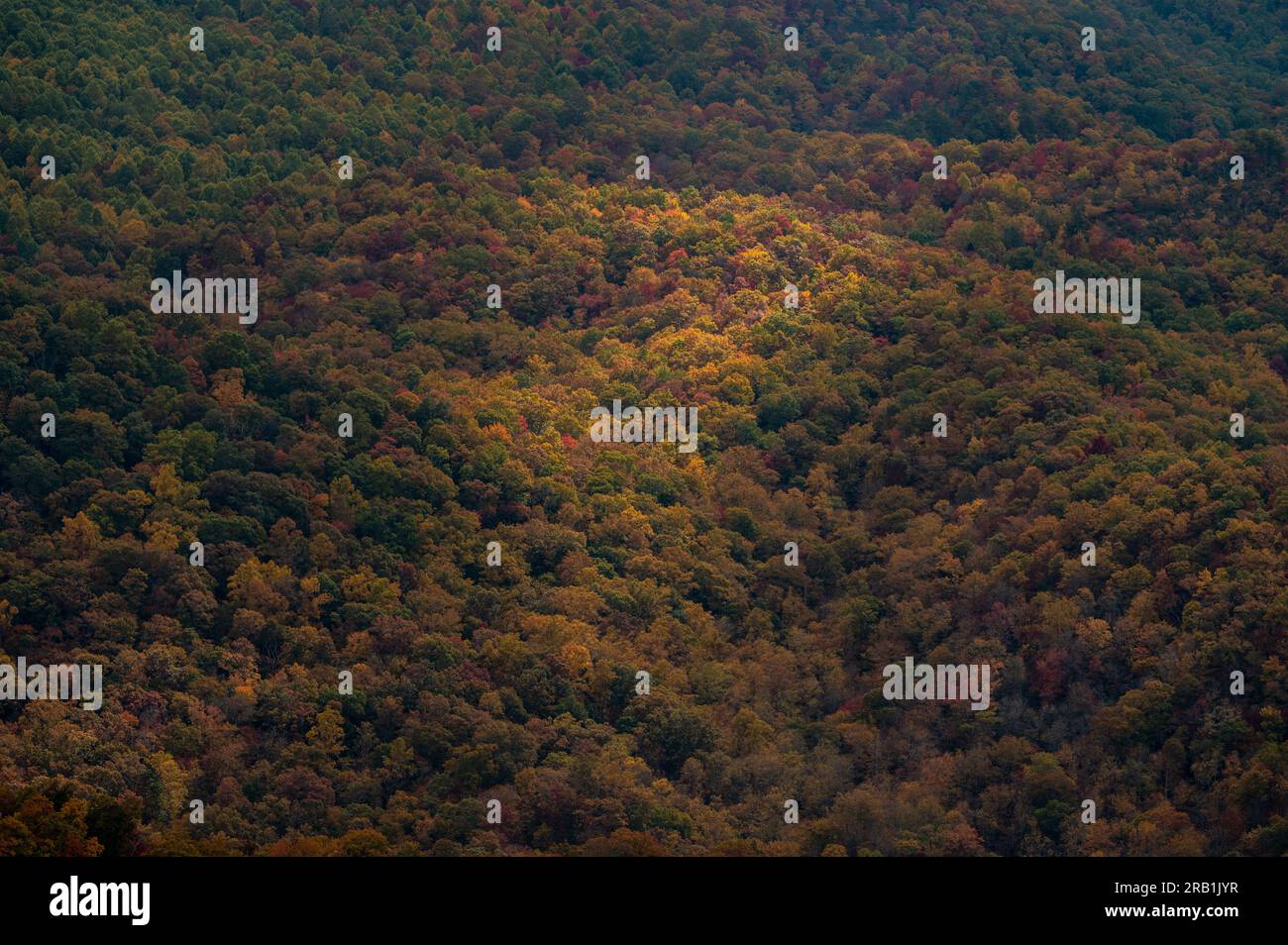 Fleck der leichten Tänze über die Herbstdächer der Blue Ridge Mountains Stockfoto