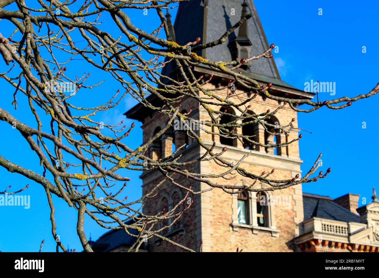 Verlassene Ruine des orangefarbenen Burgturms in der Nachmittagssonne Stockfoto