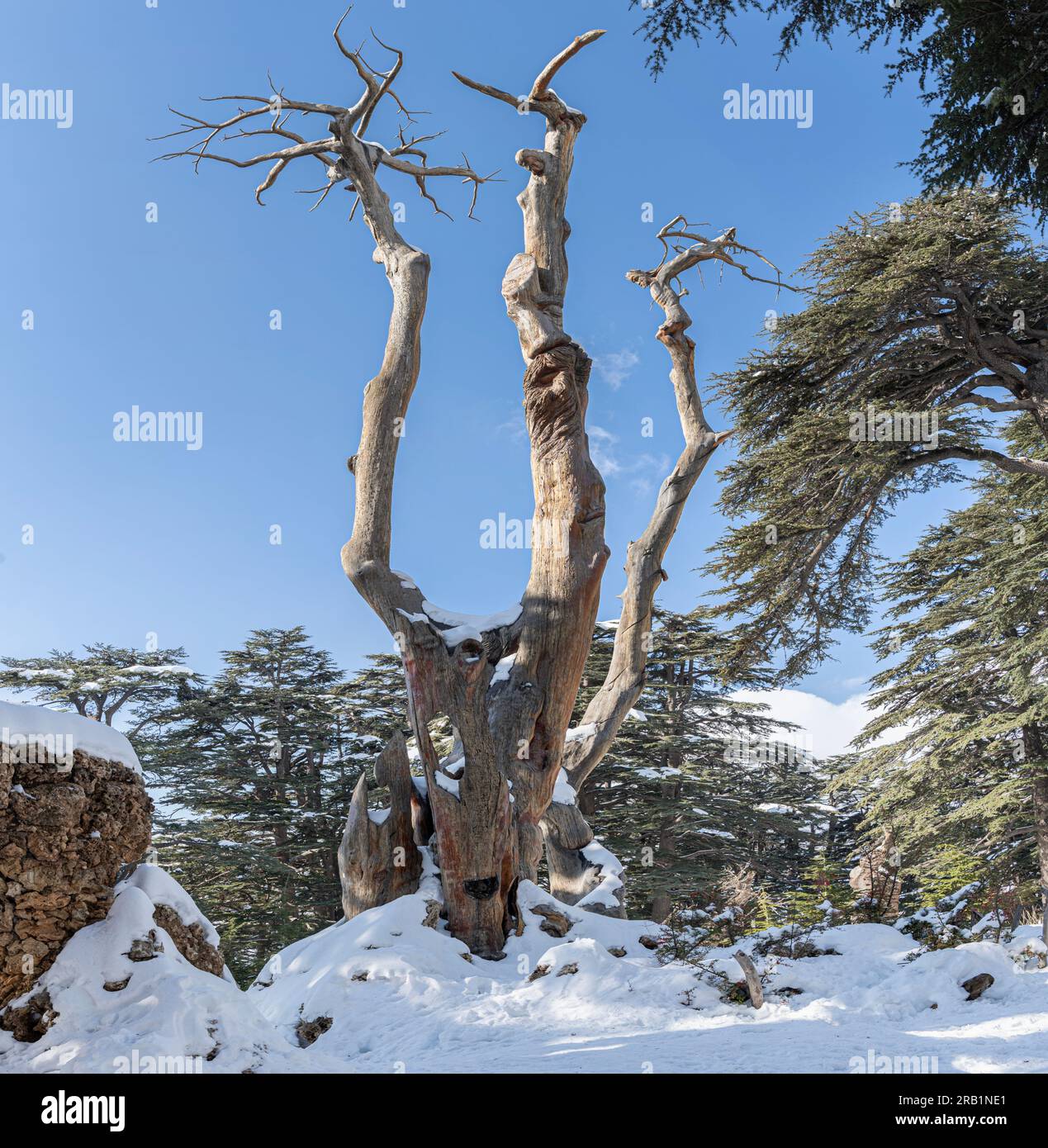 Wunderschöner Blick auf die schneebedeckten Berge des Bsharri District an einem sonnigen Tag, Libanon Stockfoto