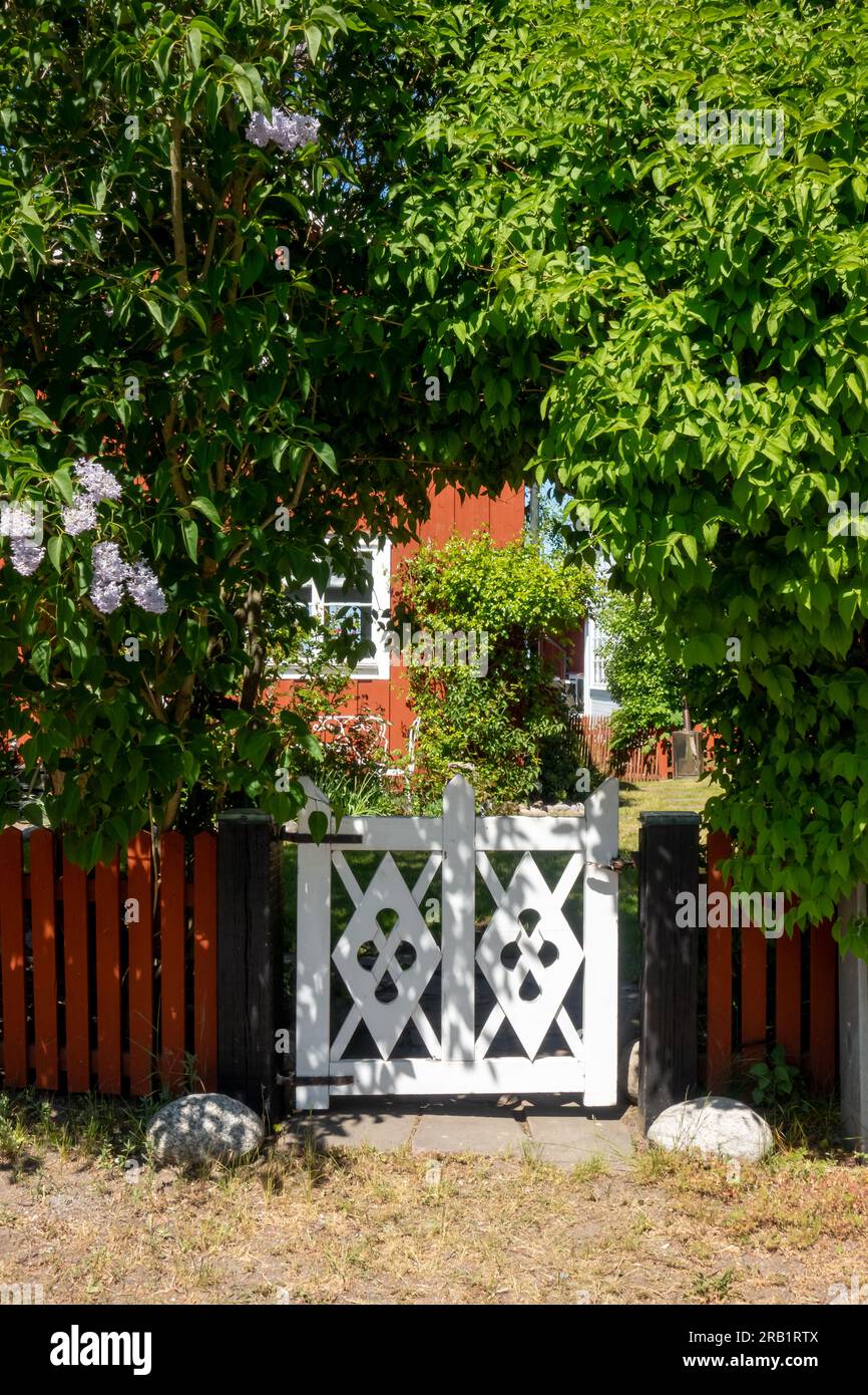 Weißes Holztor auf falurotem Zaun führt zu einem Garten unter üppig grünen Bäumen im heißen schwedischen Sommer in ländlicher Umgebung Stockfoto
