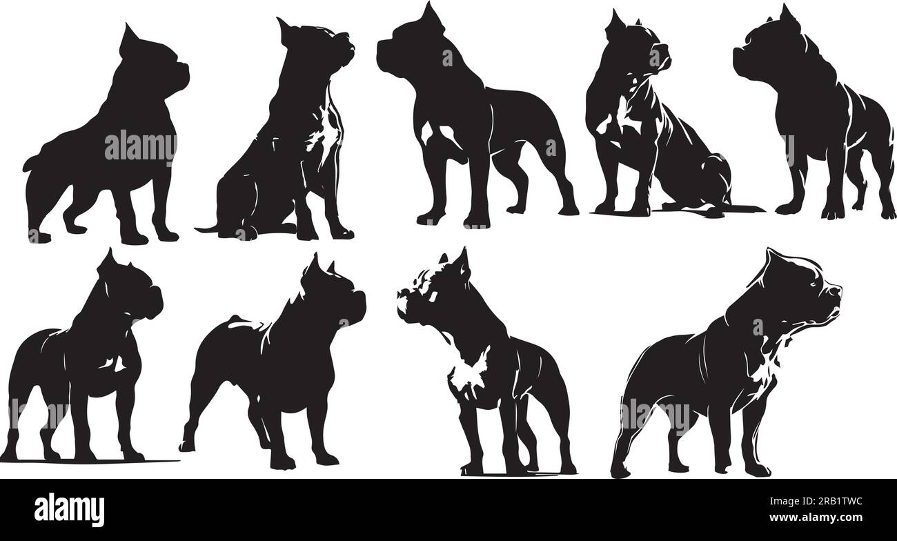Ein Satz von American Bully Illustration isolierter Vektoren Stock Vektor