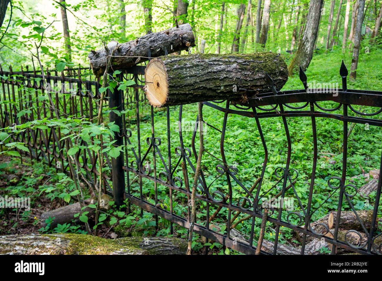 Ein gebogener Metallzaun, auf den ein Baum fiel, ein starker Schlag verbog den Zaun Stockfoto