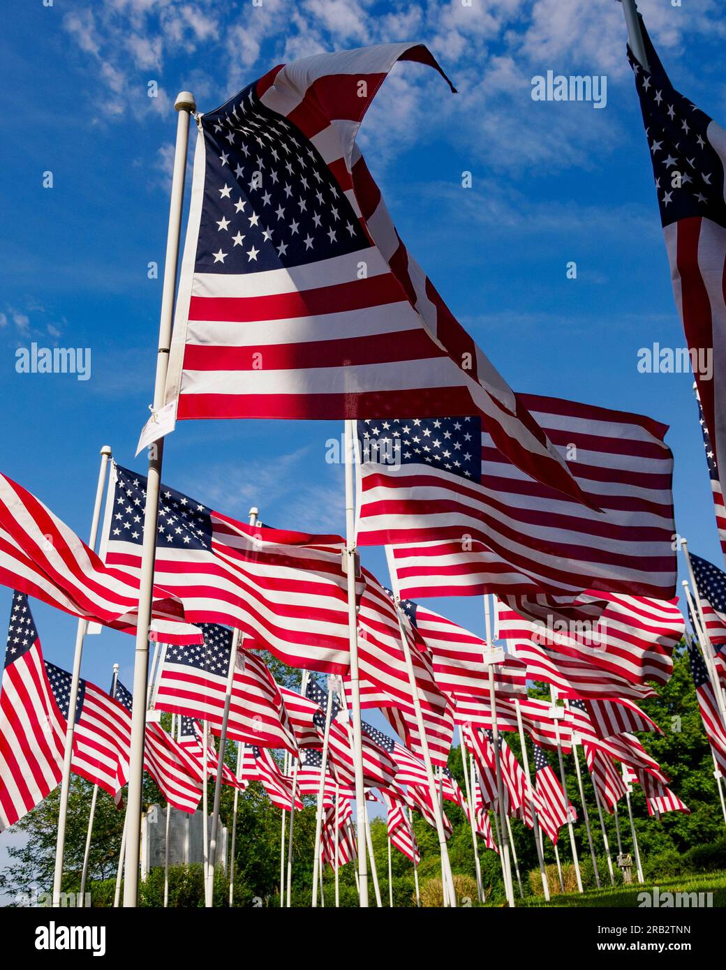 Flaggen für Heroes, Cedar Knoll Inn, Alexandria, VA Stockfoto