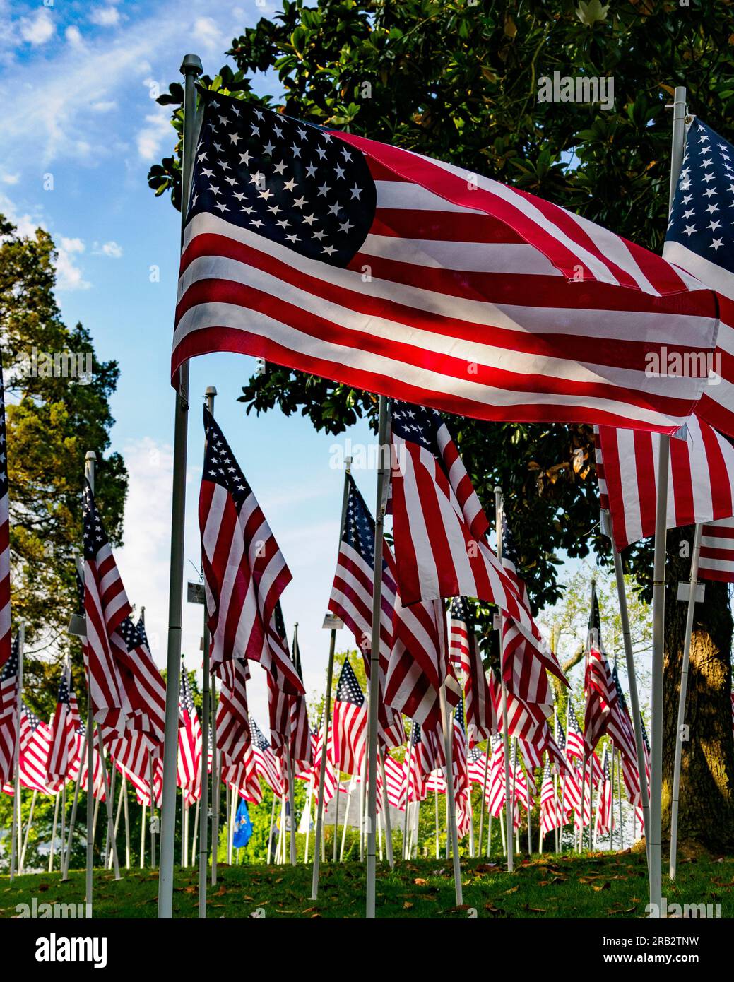 Flaggen für Heroes, Cedar Knoll Inn, Alexandria, VA Stockfoto