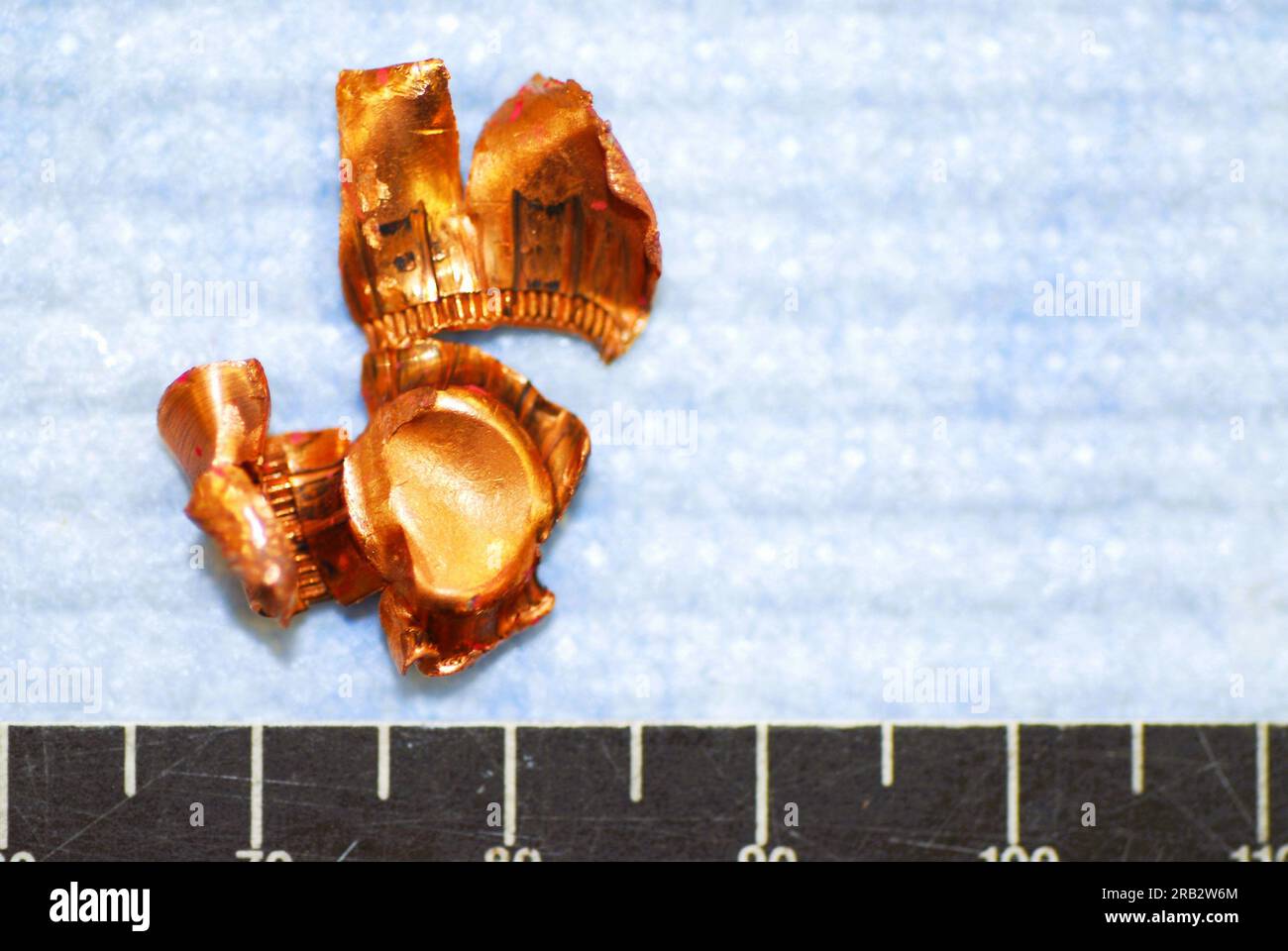 Eine Patronenjacke von einem Tatort Stockfoto