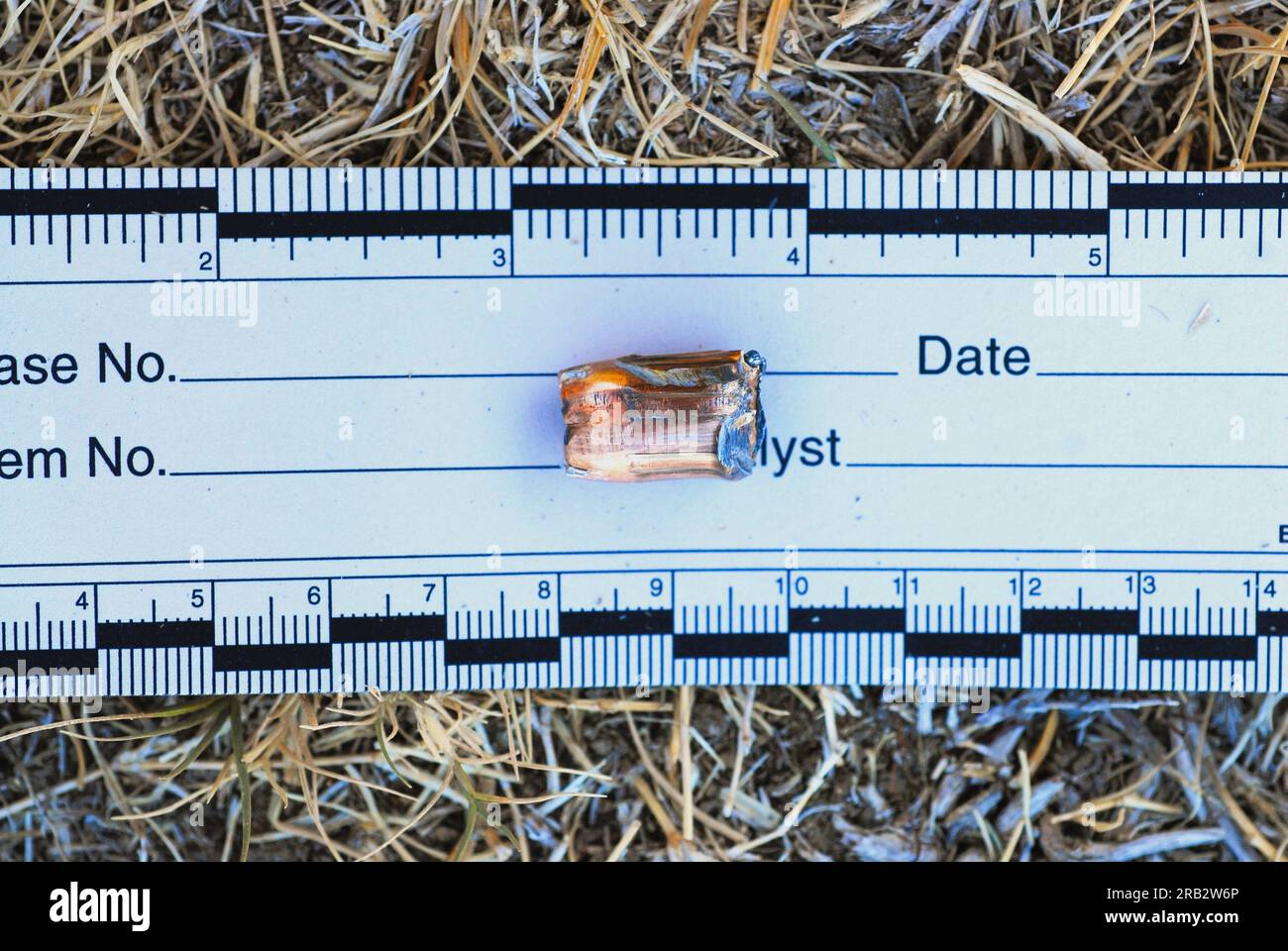 Kugel in getrocknetes Gras von einem Tatort Stockfoto