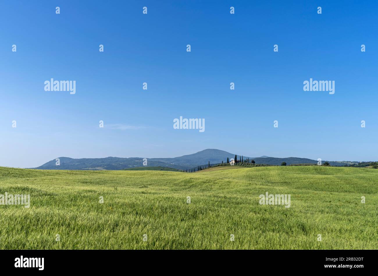Toskanische Landschaft in der Nähe von San Quirico d'Orcia Stockfoto