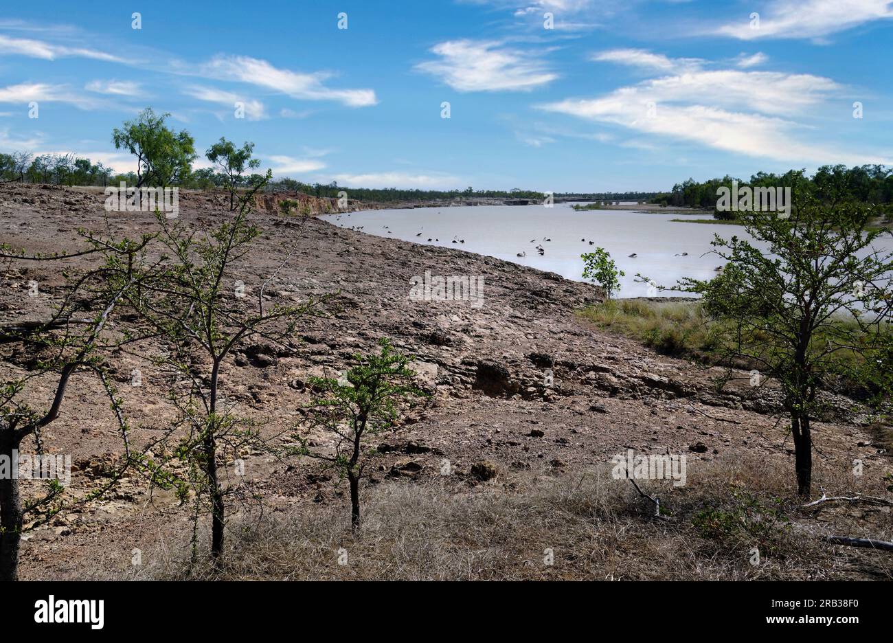 Pelikane, die vom trockenen Ufer aus den Blick auf den Albert River genießen Stockfoto