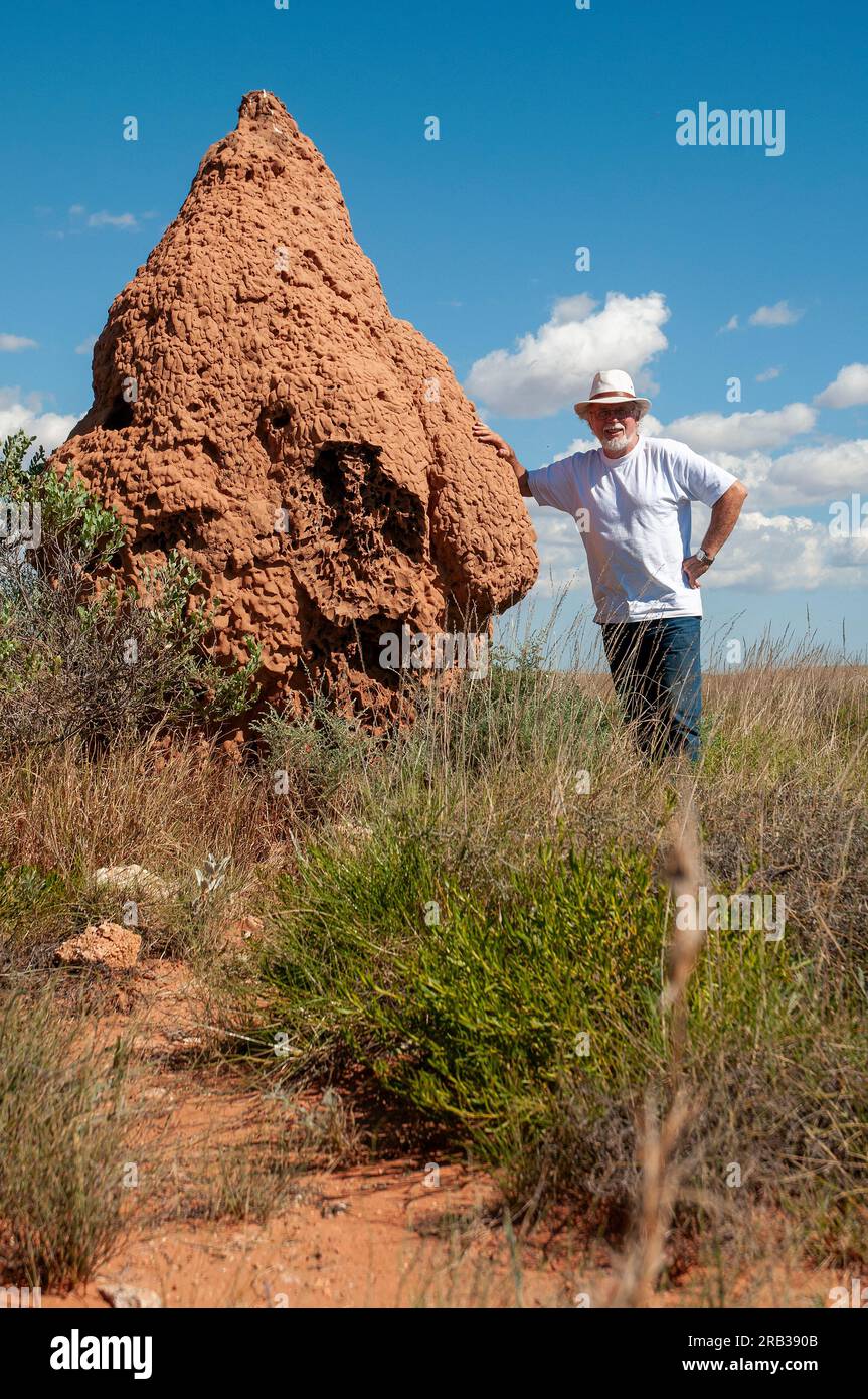 Ein Mann, der neben Termiten steht, wohnt im Outback West Australia Stockfoto