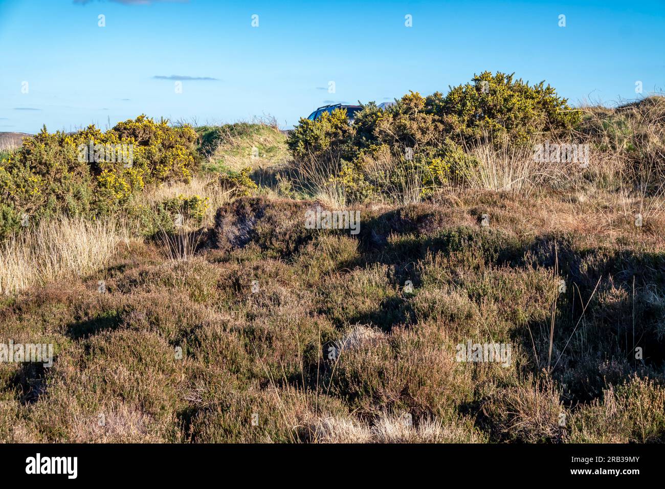 Torfturfschneiden in der Grafschaft Donegal - Irland. Stockfoto