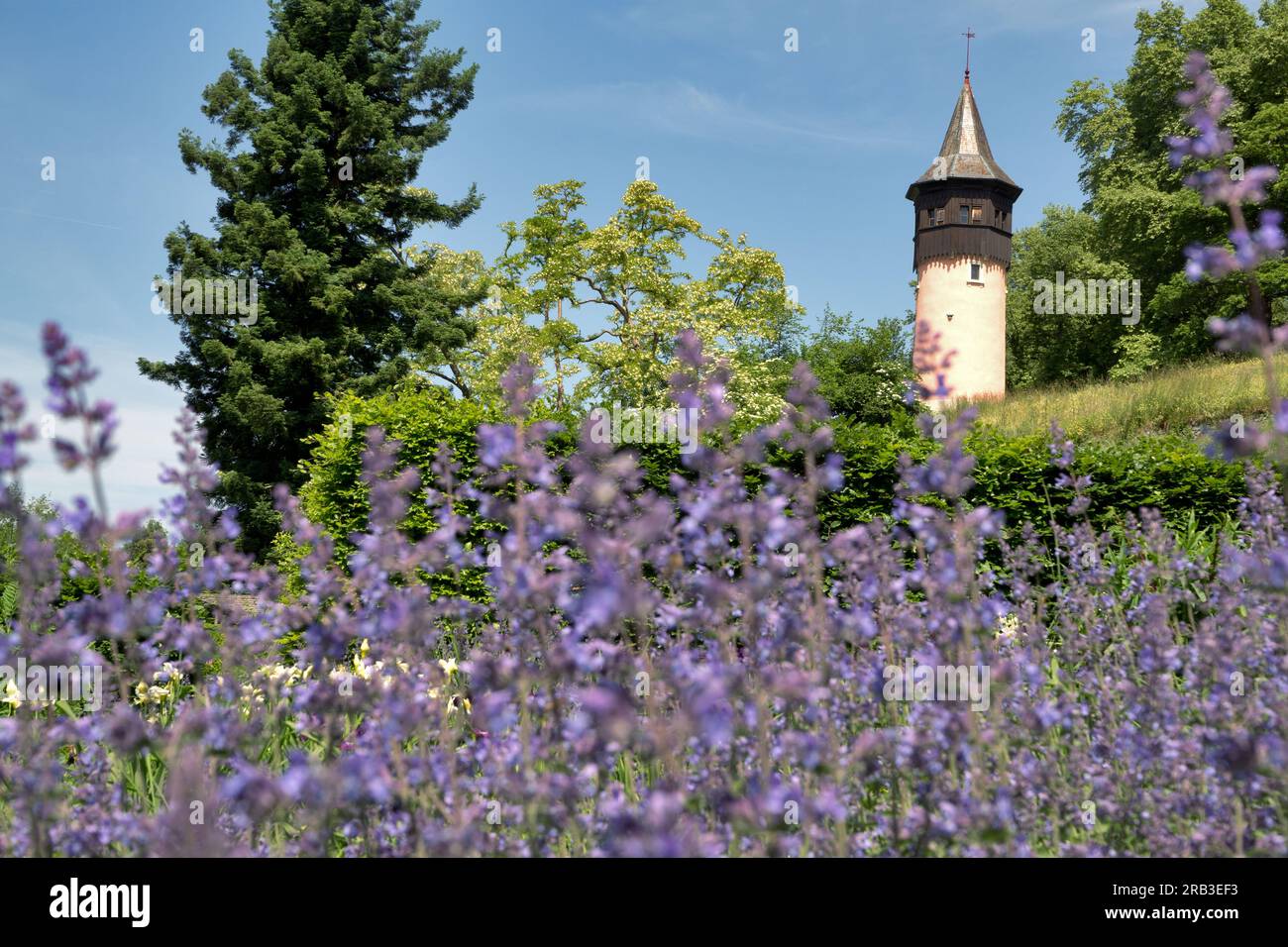 Mainau Island, Deutschland: Schwedischer Turm und blühende Stauden. Blütenpracht im botanischen Garten auf der Insel am Konstansee Stockfoto