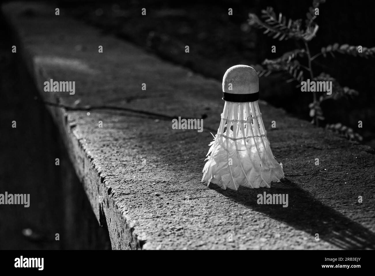 Ein Shuttlecock, der kopfüber auf einer Bank sitzt Stockfoto