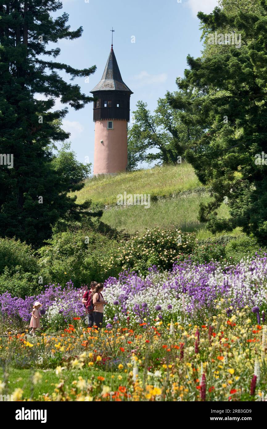 Mainau Island, Deutschland: Schwedischer Turm und blühende Stauden. Blütenpracht im botanischen Garten auf der Insel am Konstansee Stockfoto