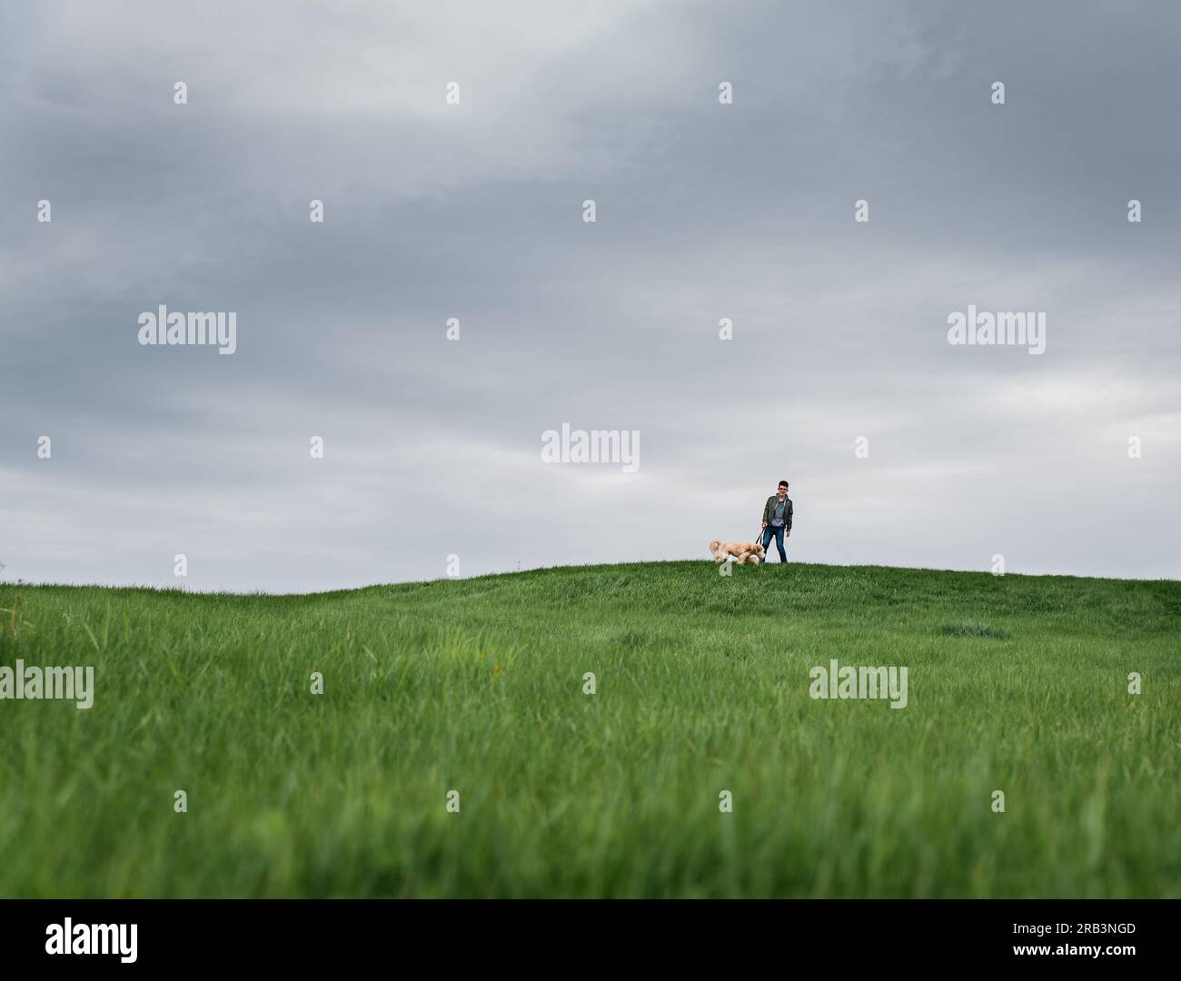 Der Junge und sein Hund stehen weit weg auf einem Grashügel an einem bewölkten Tag. Stockfoto
