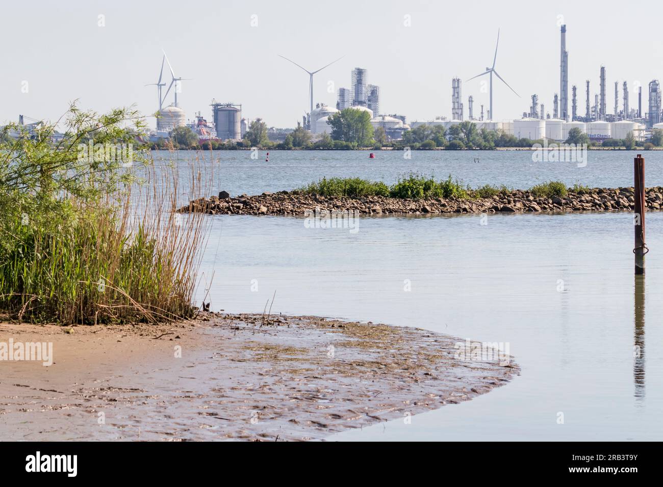 Moerdijk Industriegebiet vom Naturschutzgebiet rund um Strijensas auf der anderen Seite des Wassers aus gesehen Stockfoto