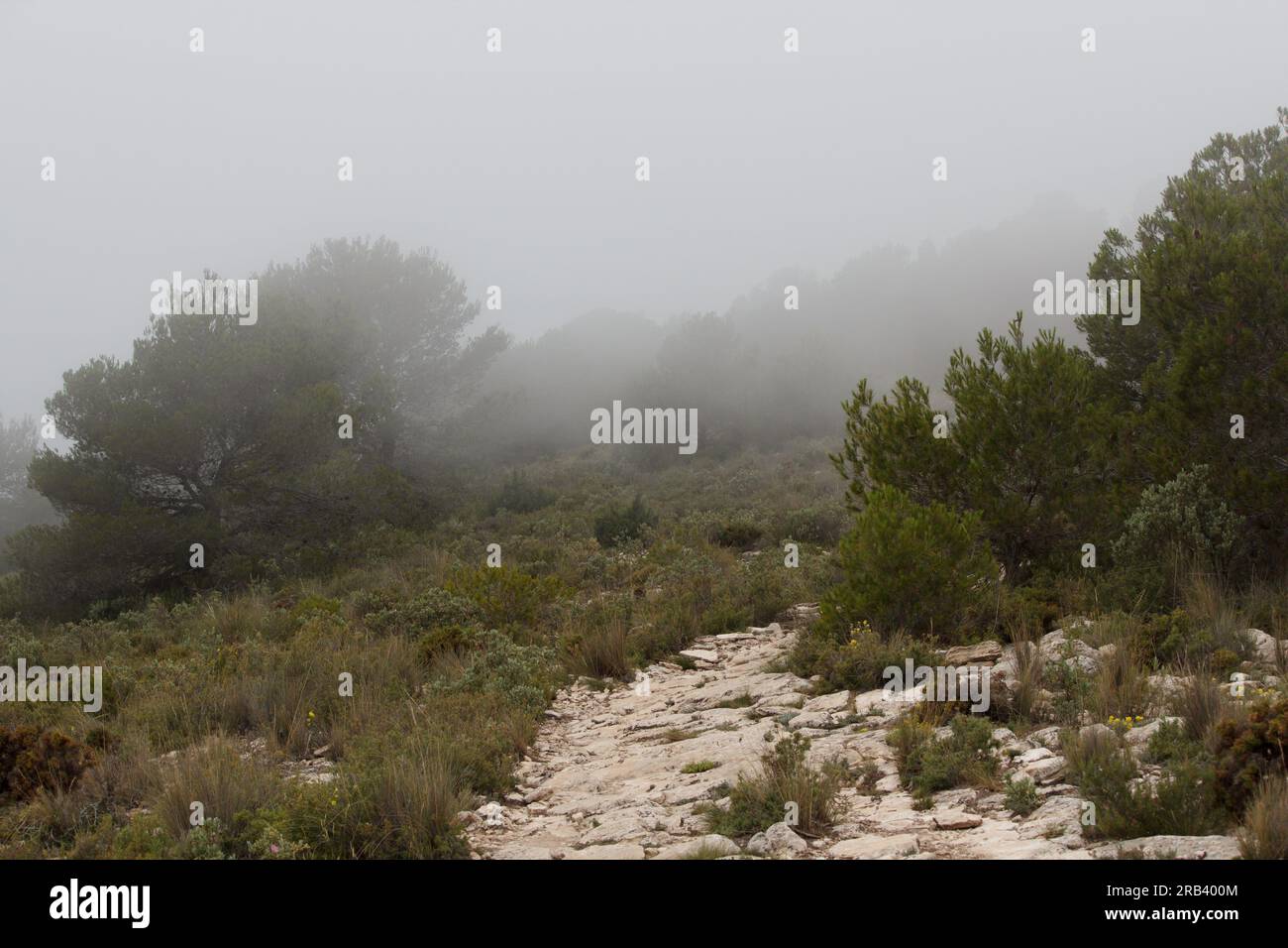 Landschaft mit dem Pfad von Alt de les Pedreres de Alcoy am Morgen mit Nebel, Spanien Stockfoto