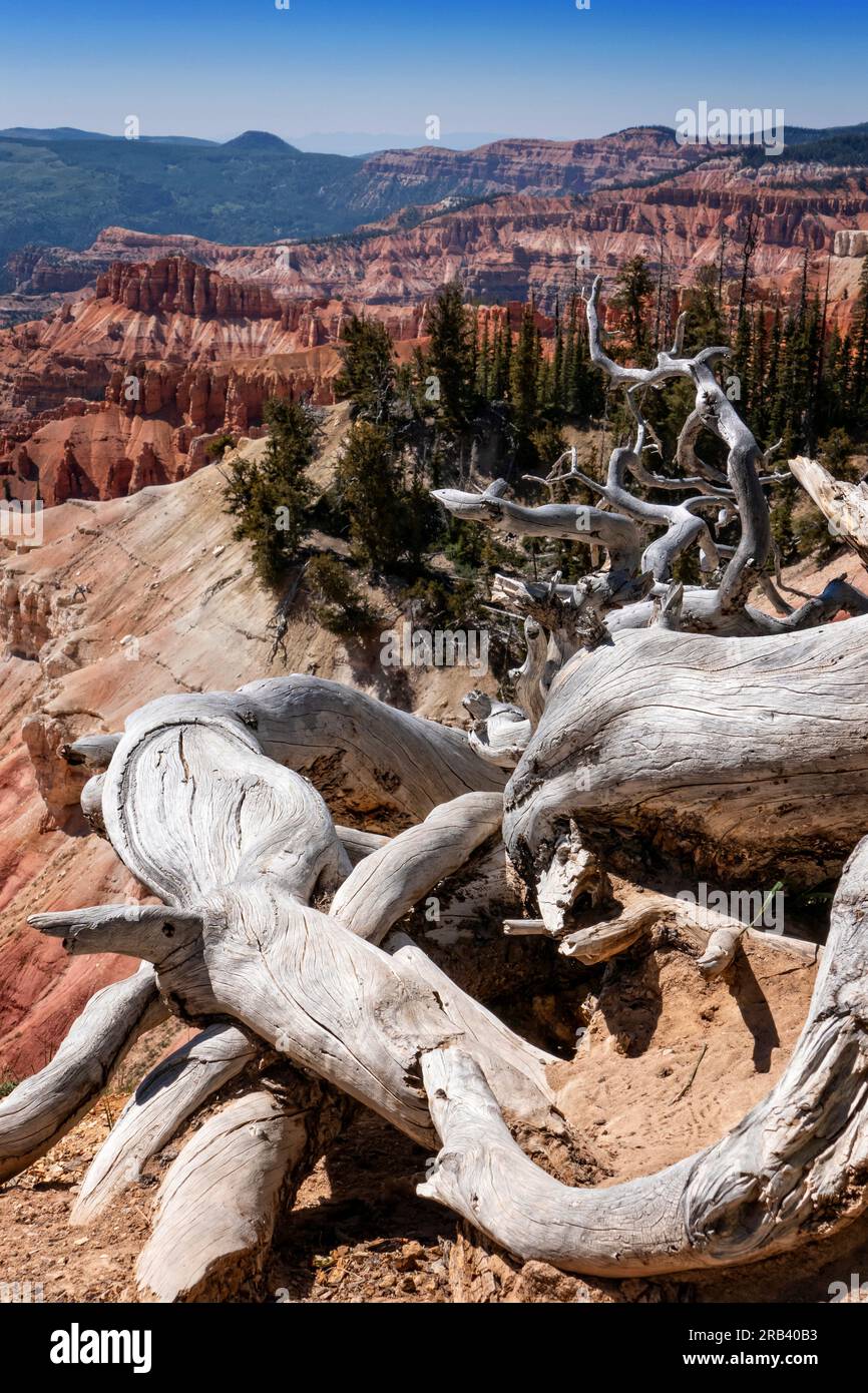 Blick vom Rim Road Highway 148 in Cedar Breaks National Monument Utah USA Stockfoto