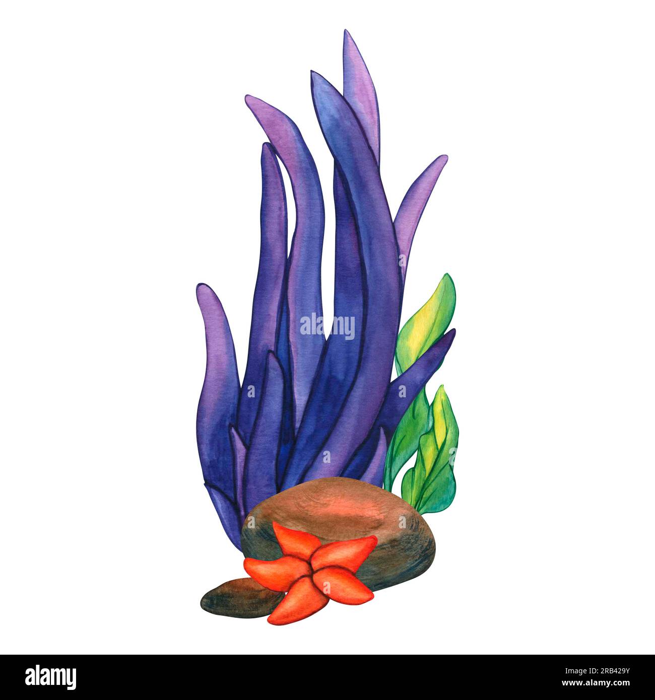 Aquarelle Steine, Seesterne und violette Algen. Illustrationen Unterwassergras- und Felssammlung, Naturlandschaften Illustrationen Elemente, isoliert Stockfoto