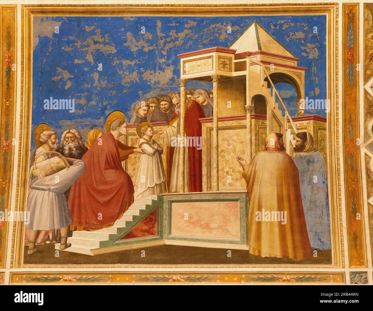 Giottos Fresken, die Scrovegni-Kapelle, Padua - italienisches Renaissance-Gemälde aus dem 14. Jahrhundert - hier „die Präsentation der Maria im Tempel“; Padua Italien Stockfoto