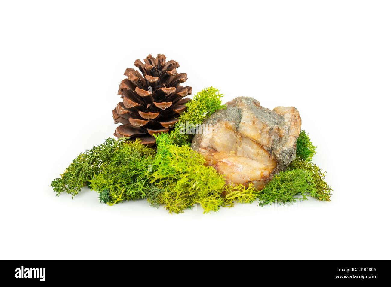 Stein mit grüner stabilisierter Flechte und Kiefernkegel, natürlicher Hintergrund für die Produktdarstellung, isoliert auf weißem Hintergrund Stockfoto