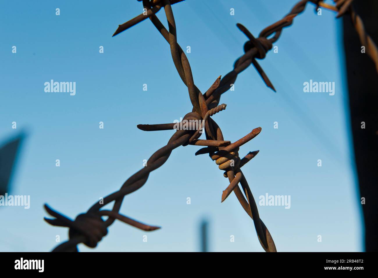 Natzweiler Struthof, Elsass, Frankreich Stockfoto