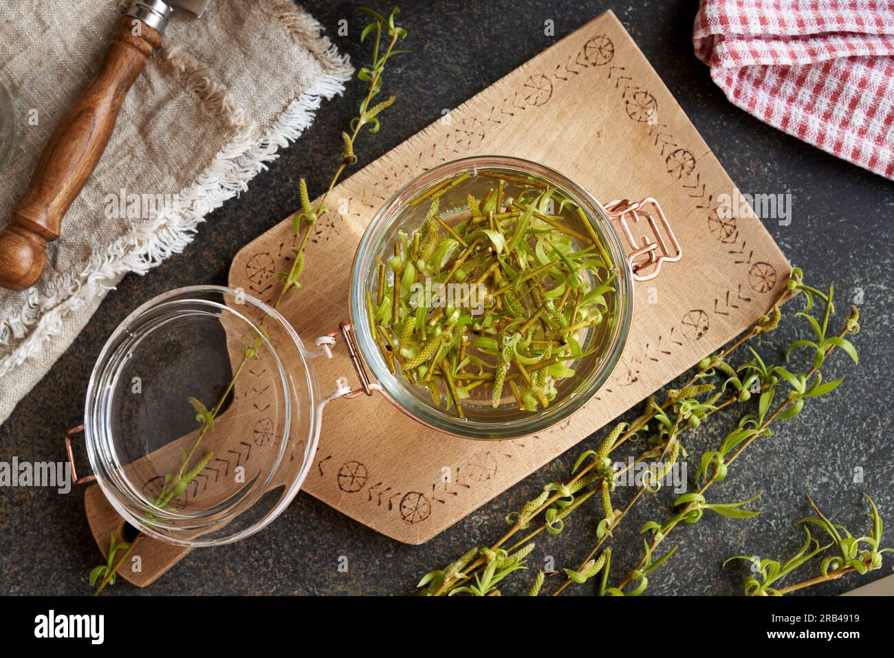 Weidenrinde und Knospen, die in einem Glasgefäß in Alkohol mazerieren - Herstellung einer Gemmotherapie-Tinktur Stockfoto
