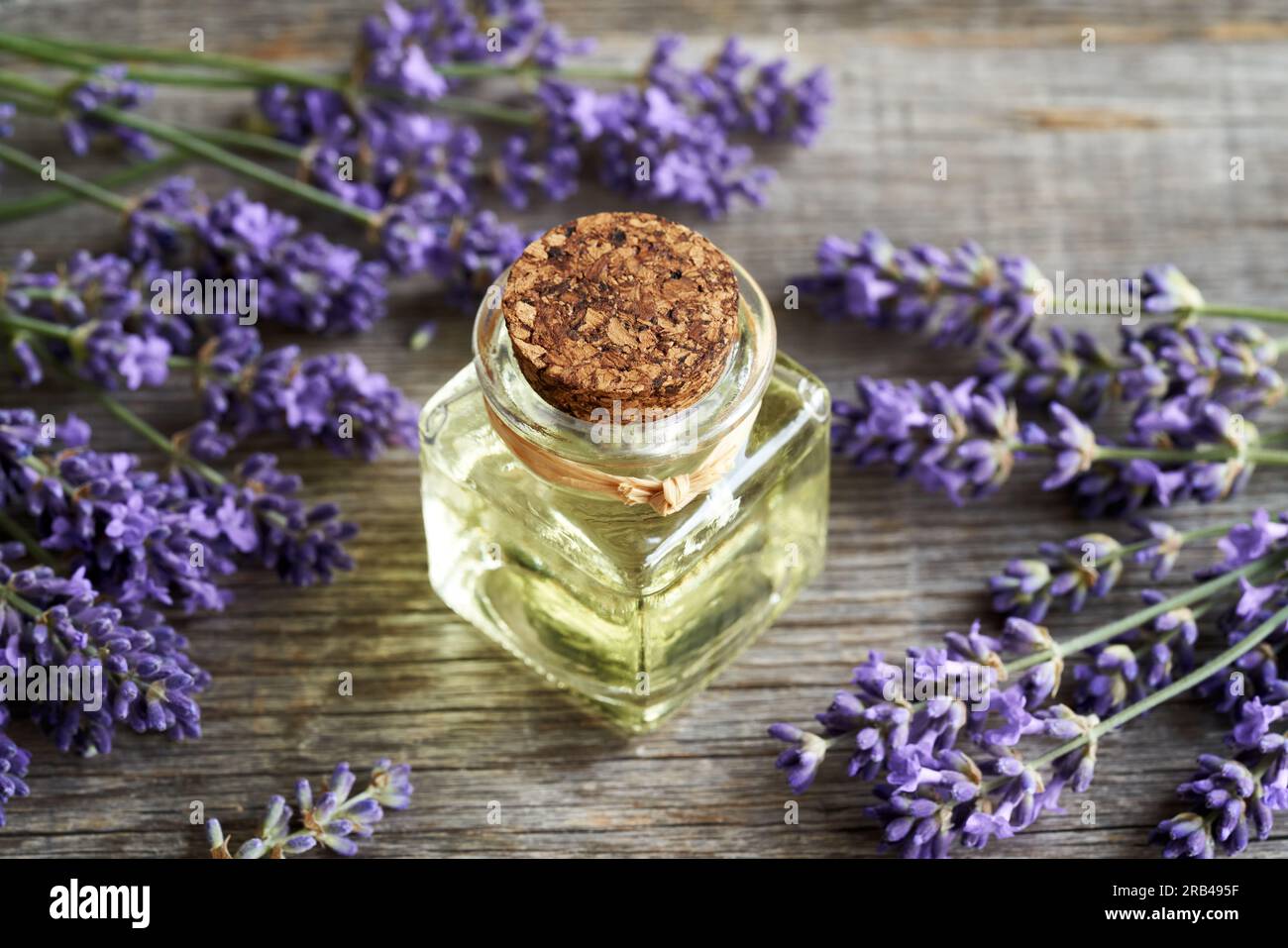 Eine quadratische Flasche ätherisches Aromatherapie-Öl mit frischen Lavendelblumen auf einem rustikalen Tisch Stockfoto