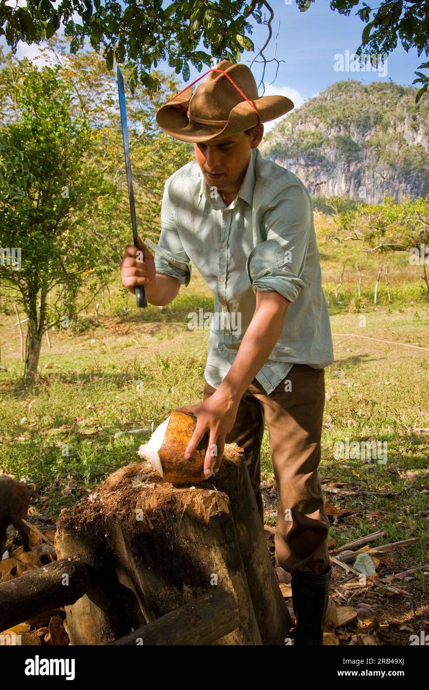 Kuba, Vinales, Landwirt Stockfoto