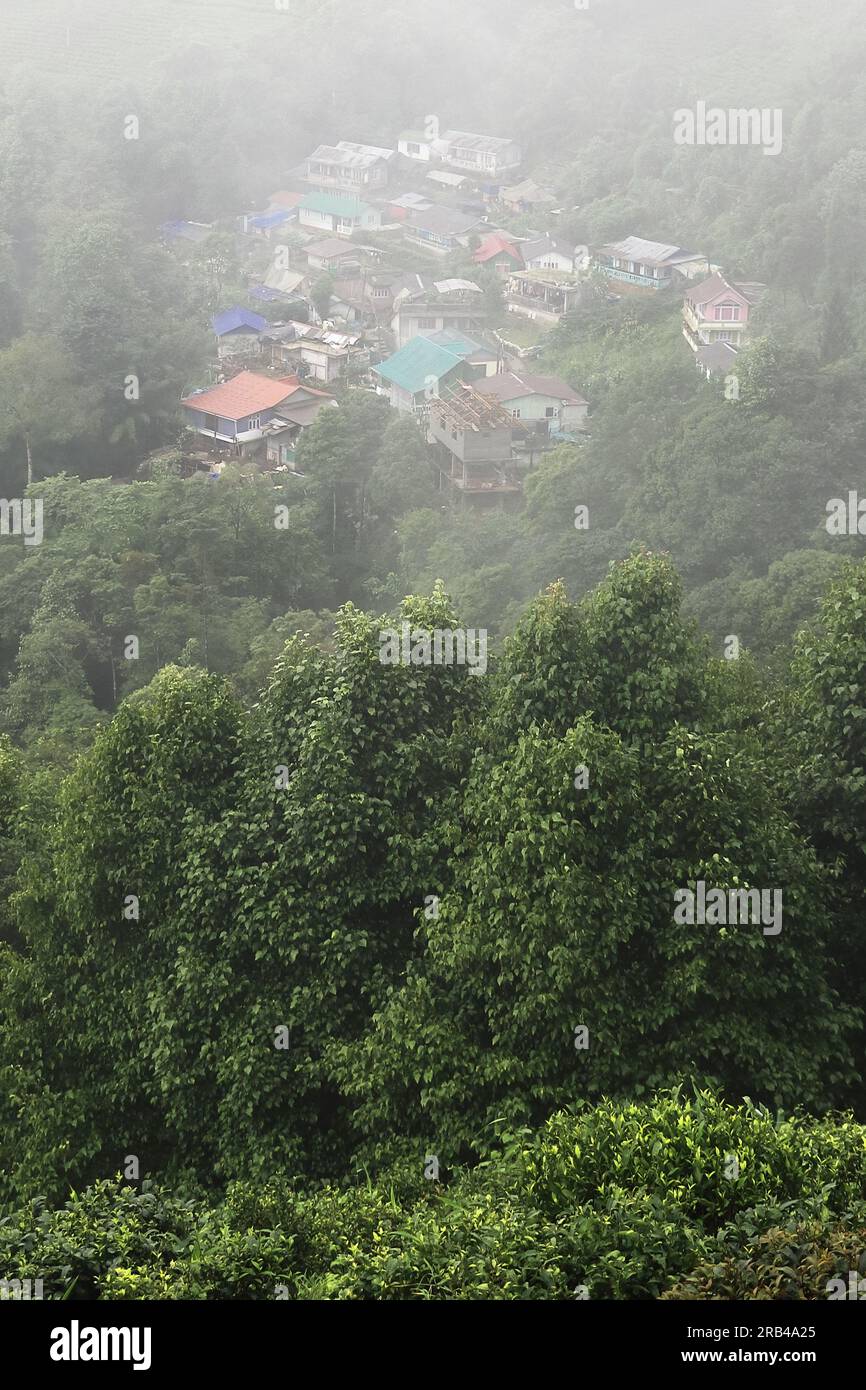Nebel- und Misty-Bergdorf, umgeben von üppigen grünen Wäldern und Wildnis, an den Hängen des himalaya-Gebirges nahe darjeeling in indien Stockfoto