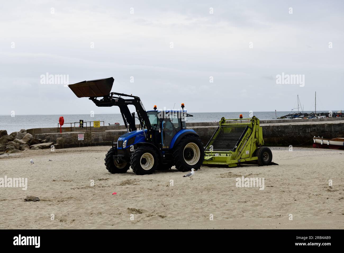Traktor zieht den Barber Surf Rake, um den Sand zu ebnen und den Strand Lyme Regis Dorset England zu reinigen Stockfoto