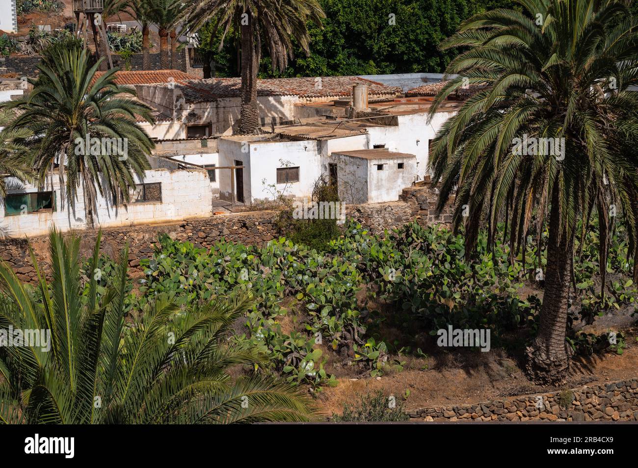 Traditionelle weiße Häuser der Stadt Betancuria an einem heißen Sommertag in Fuerteventura, Kanarische Inseln. Stockfoto