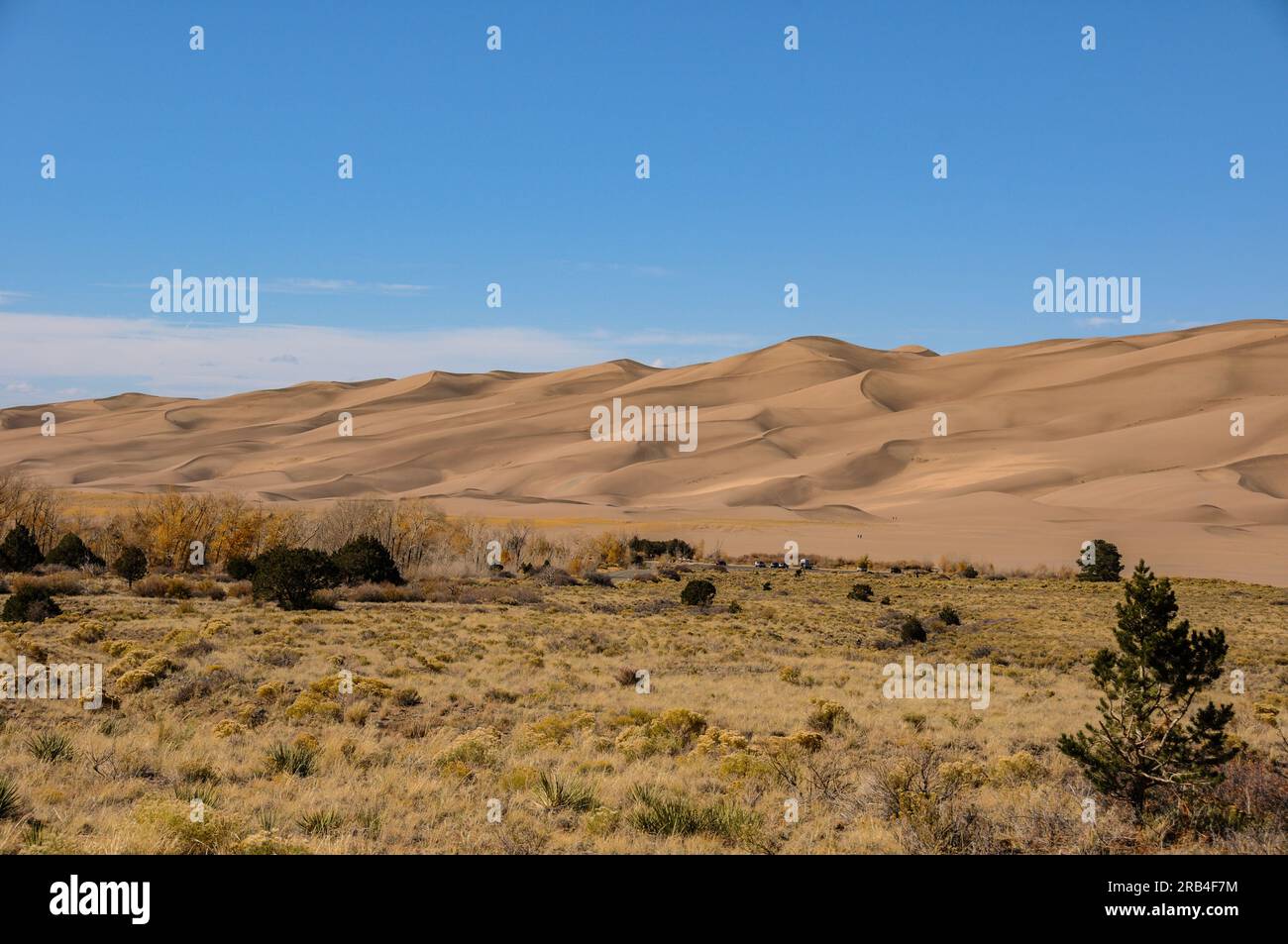 Die unglaublichen Wüstendünen im Great Sand Dunes National Park in Colorado, USA, bei Sonnenuntergang Stockfoto