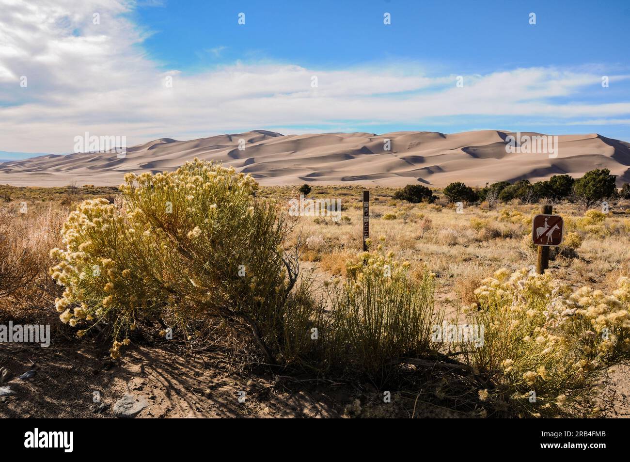 Die unglaublichen Wüstendünen im Great Sand Dunes National Park in Colorado, USA, bei Sonnenuntergang Stockfoto