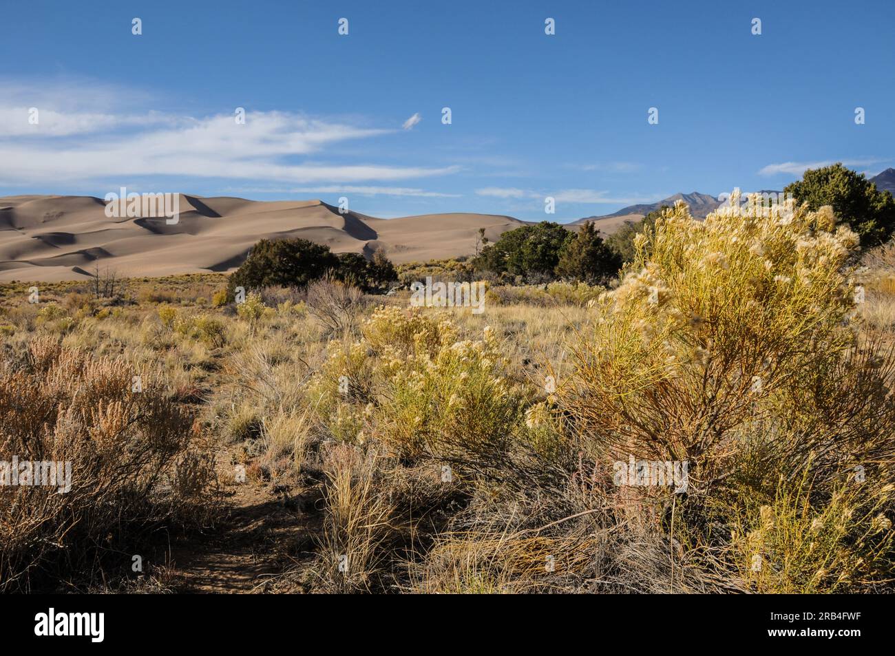 Die unglaublichen Wüstendünen im Great Sand Dunes National Park in Colorado, USA, bei Sonnenuntergang Stockfoto