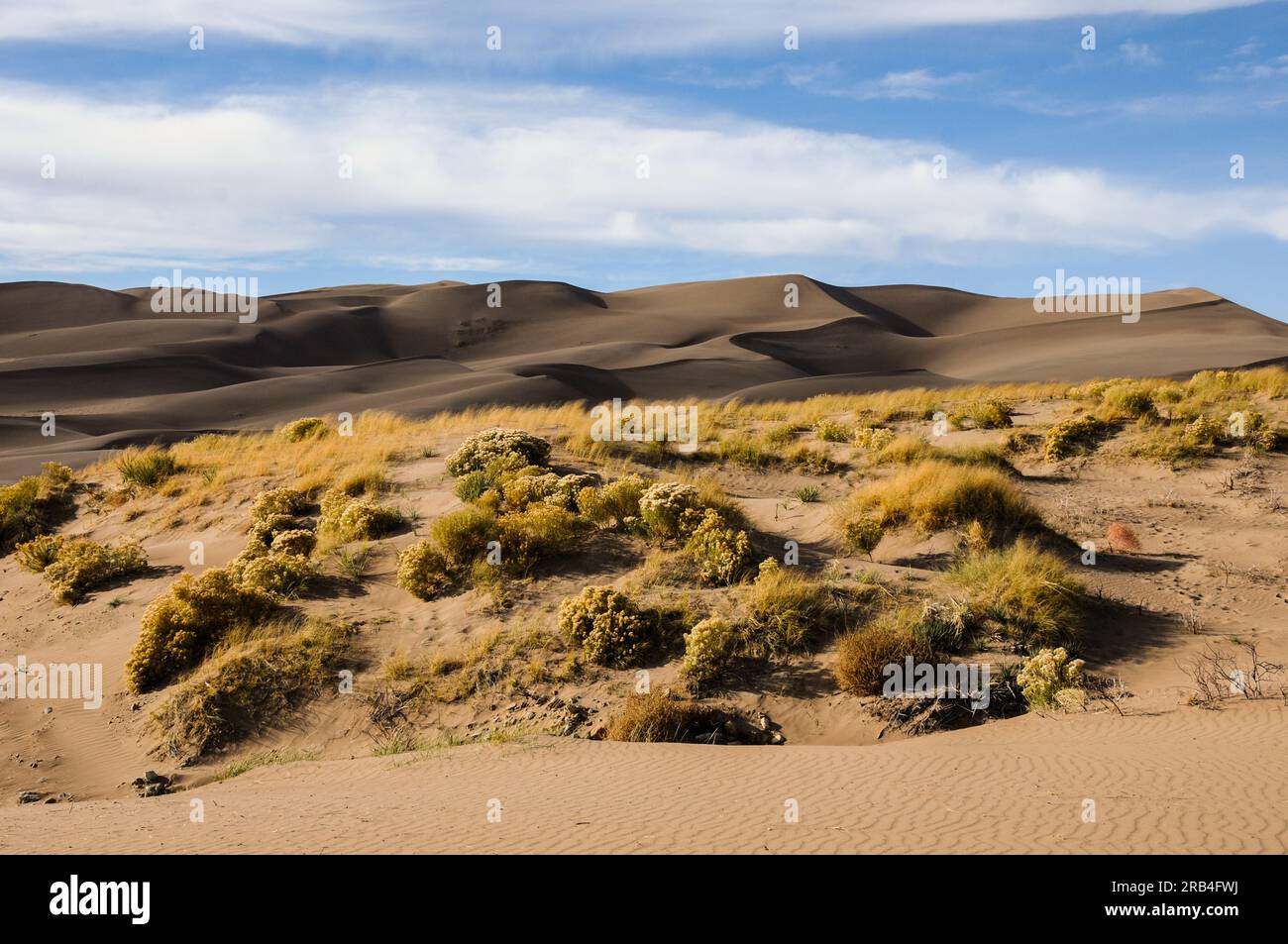 Die unglaublichen Wüstendünen im Great Sand Dunes National Park in Colorado, USA, bei Sonnenuntergang Stockfoto
