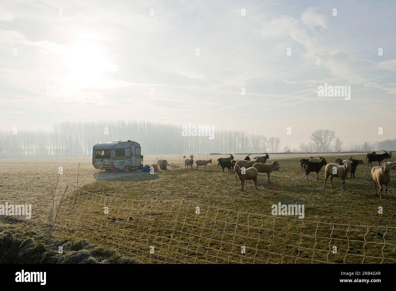 Castelletto di cuggiono, lombardei, italien Stockfoto