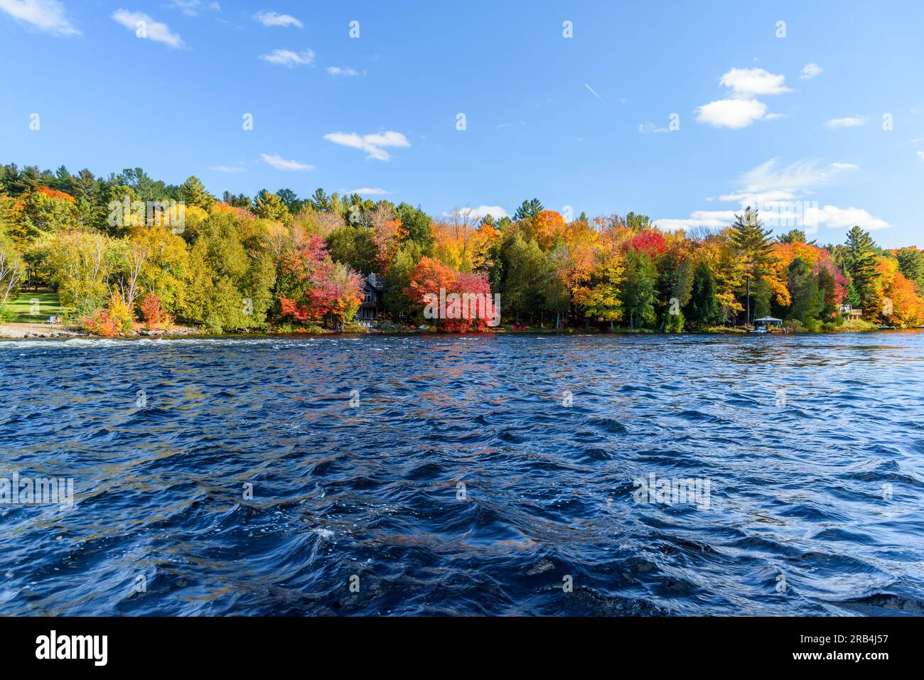 Bewaldeter Flussufer auf dem Gipfel der Herbstfarben an einem sonnigen Tag Stockfoto