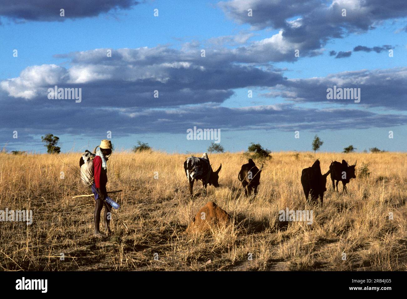 Ranohira. nationalpark isalo. Madagaskar. Afrika Stockfoto