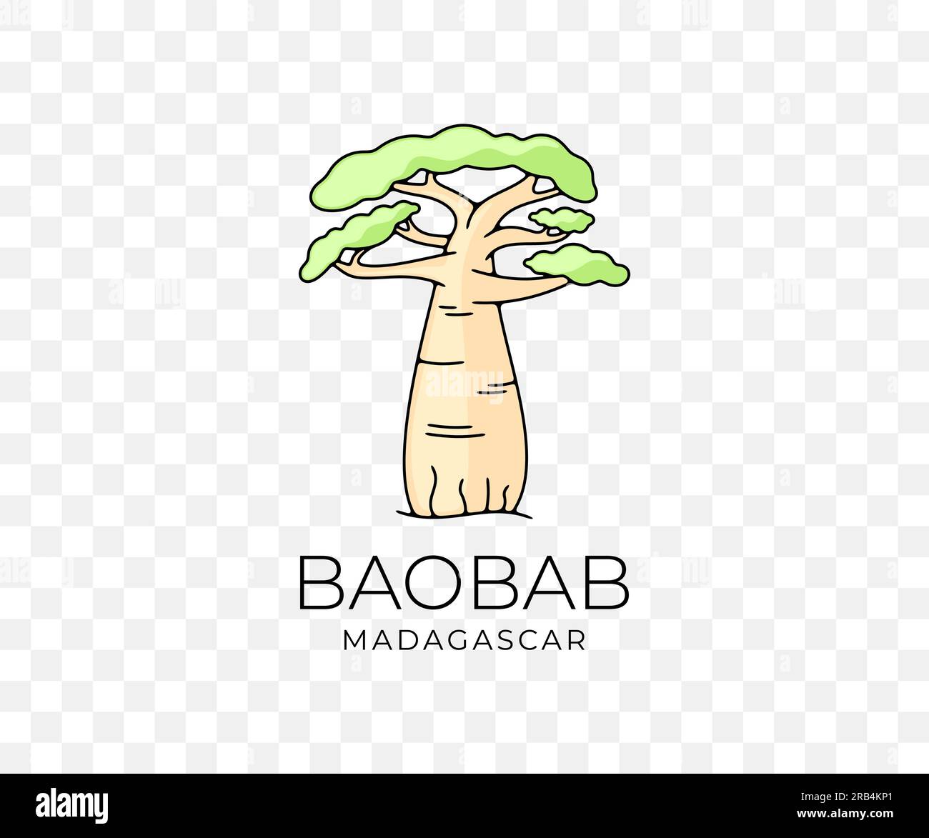 afrikanischer Baobab auf Madagaskar, Nationalpark und Savanne, Natur, Bäume und Pflanzen, farbiges Grafikdesign. Wald, Savanne, Flora, Landschaft Stock Vektor