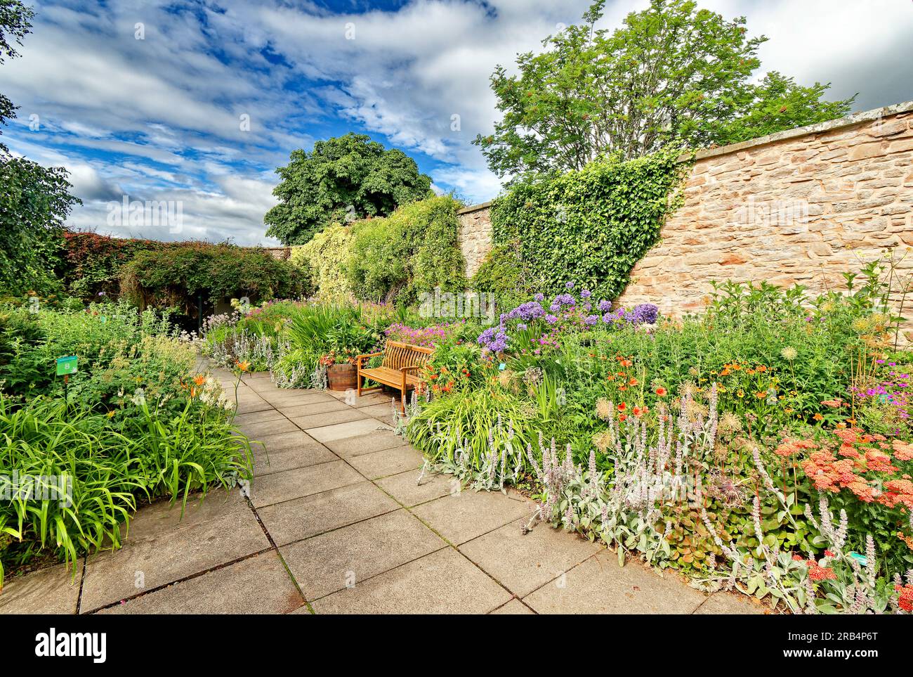Inverness Botanic Gardens Schottland Steinmauer und eine farbenfrohe Blumengrenze außerhalb des Cafés im Sommer Stockfoto