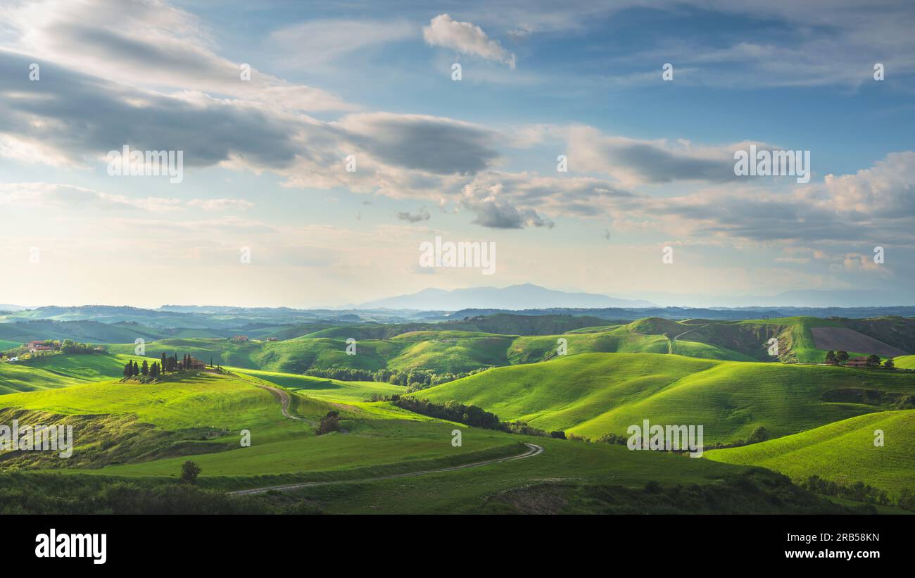 Landschaftslandschaft, sanfte Hügel, Landstraße und grüne Felder bei Sonnenuntergang. Volterra, Toskana, Italien, Europa Stockfoto