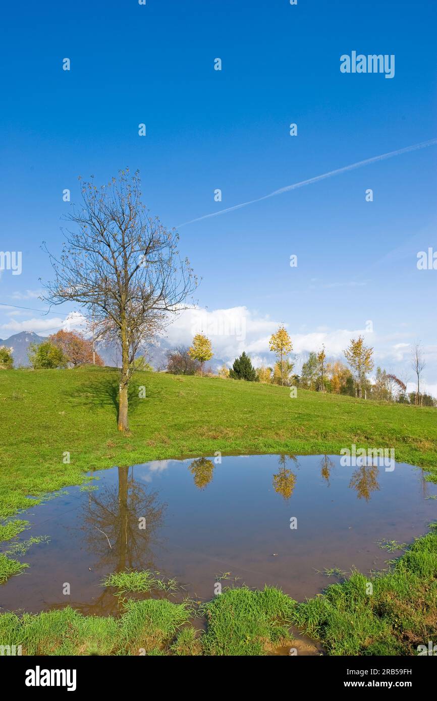 Recoaro terme. Venetien. Italien Stockfoto