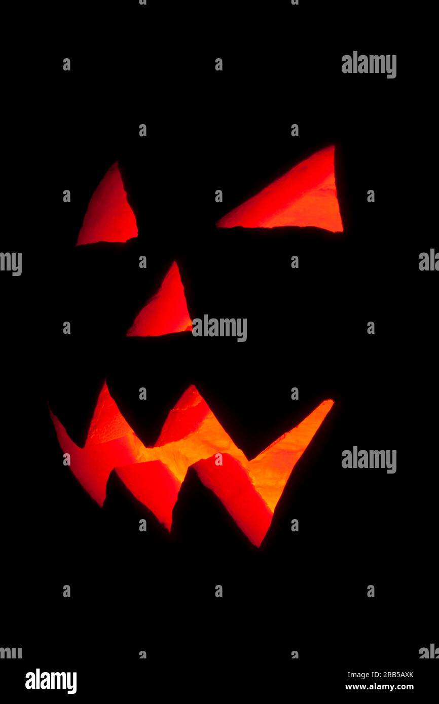 Halloween-Kürbis Stockfoto