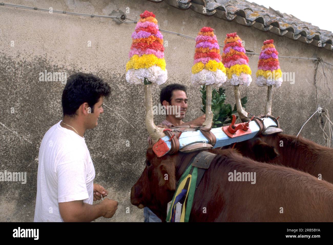 Festa Dello Spirito Santo. Domus De Maria. Sardinien. Italien Stockfoto