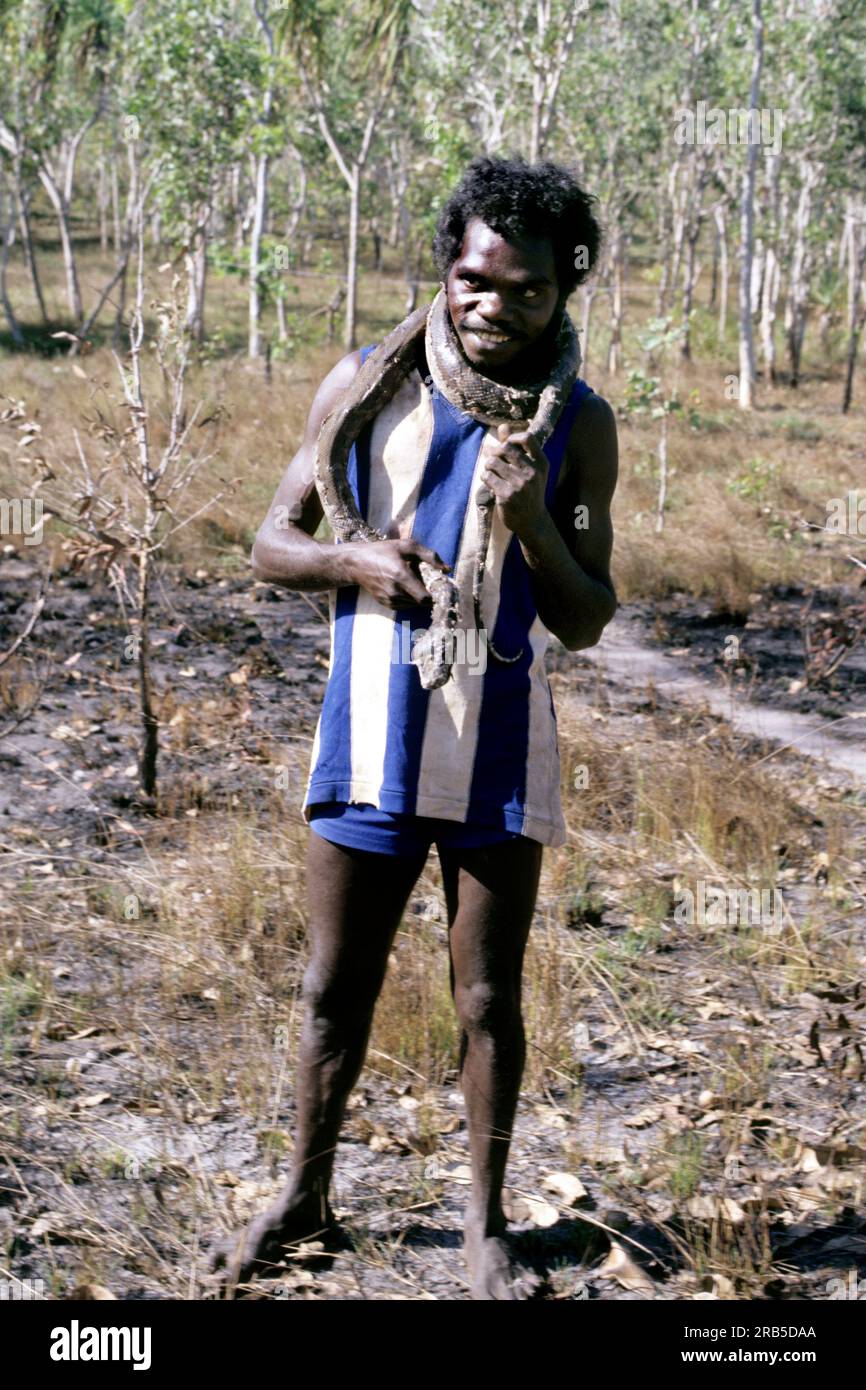 Bathurst-Insel. Tiwi-Inseln. Melville Island. Nördliches Territorium. Australien Stockfoto